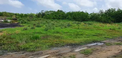 Foto van Fredericiweg