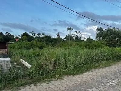 Foto van Antigoneweg