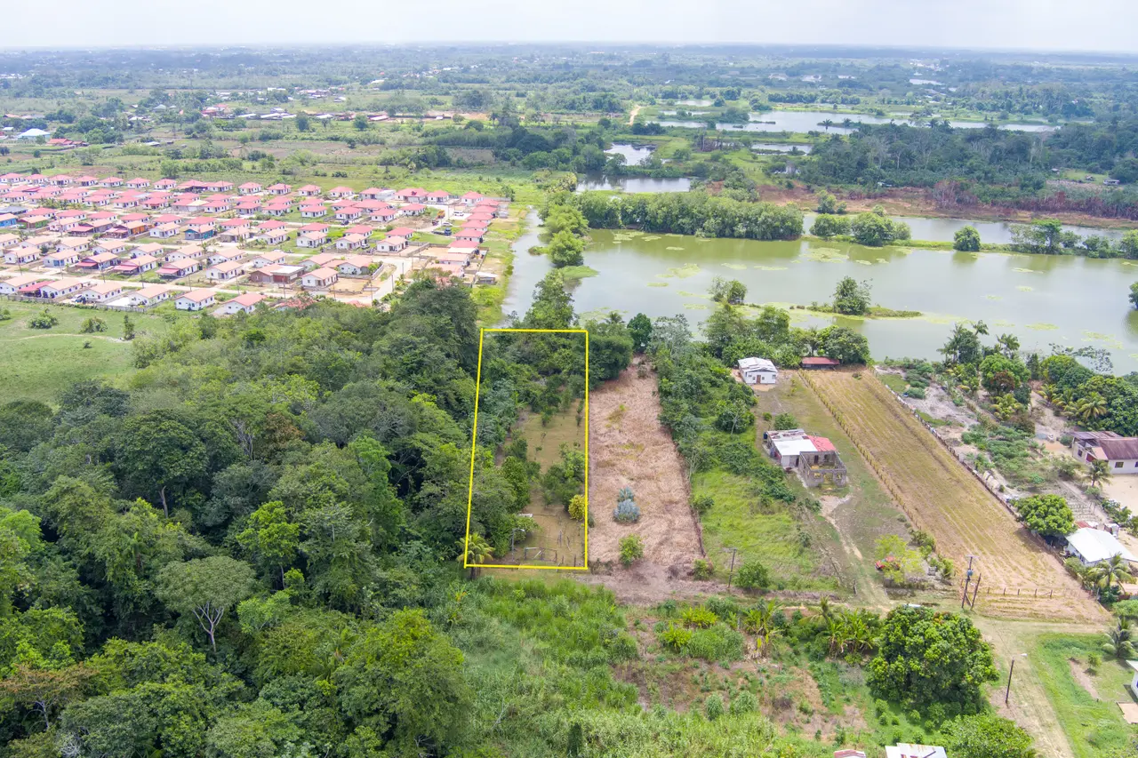Foto van Adusta Uilweg