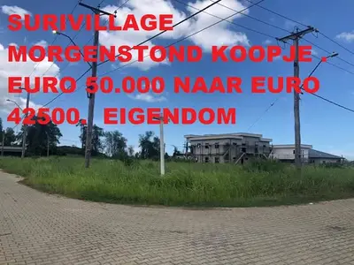 Foto van morgenstond