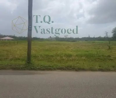 Foto van Cassialaan