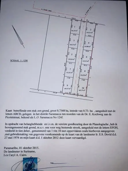 Perceelkaart van Picoletstraat