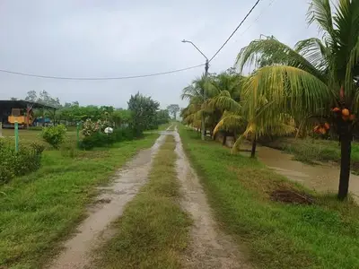 Foto van Warnerweg
