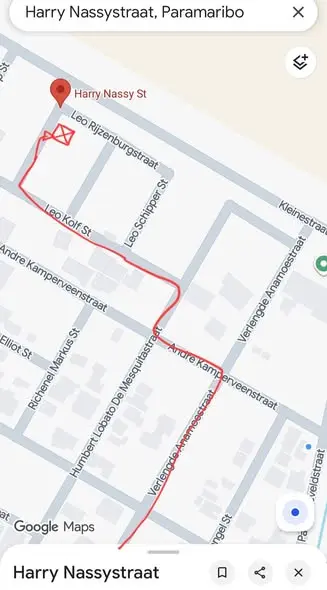 Foto van Leo Kolfstraat