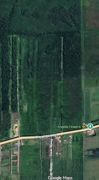 Foto van Saramacca Hoofdweg