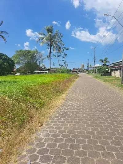 Foto van Hoedenpalmstraat