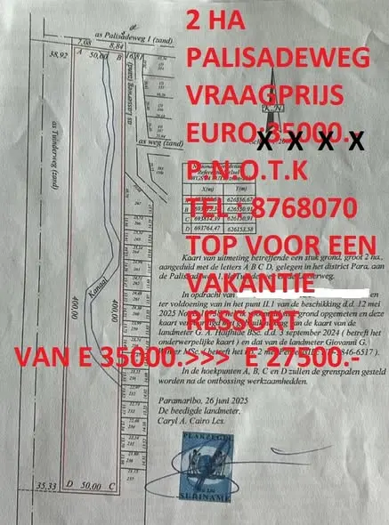 Foto van Palisadeweg
