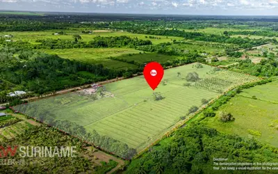 Foto van Pindaweg Pindaweg