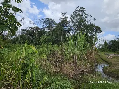 Foto van koewarasan