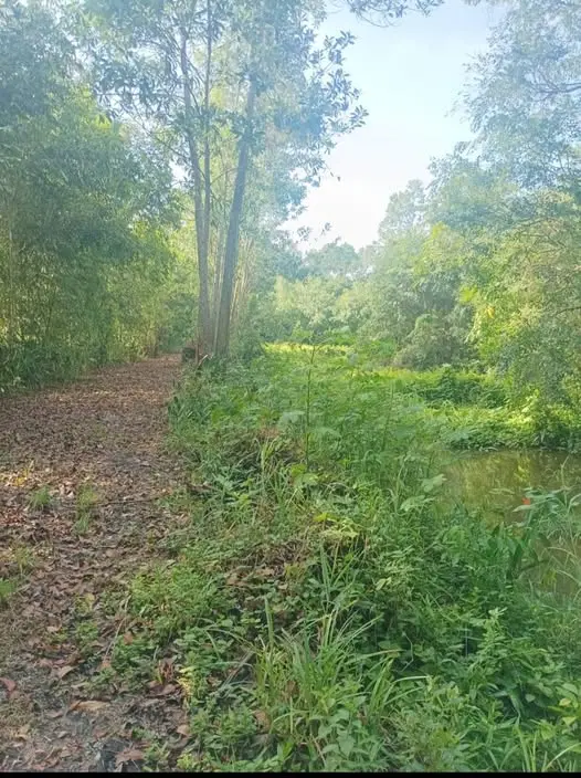Foto van Hattemweg