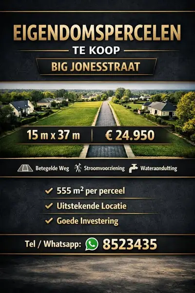 Foto van Big Jonesstraat