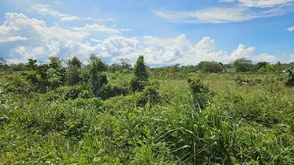 Foto van Peprepingweg