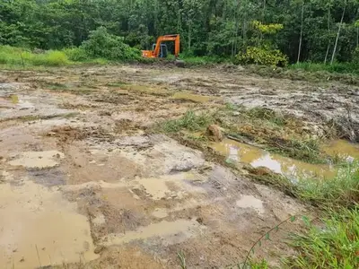 Foto van Saramaccaweg