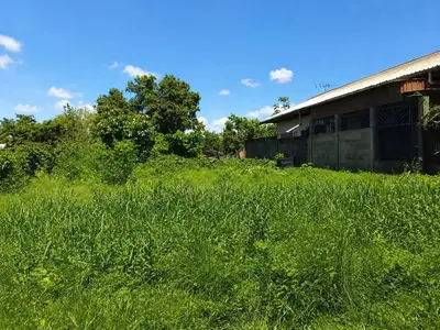 Foto van Molukkenweg