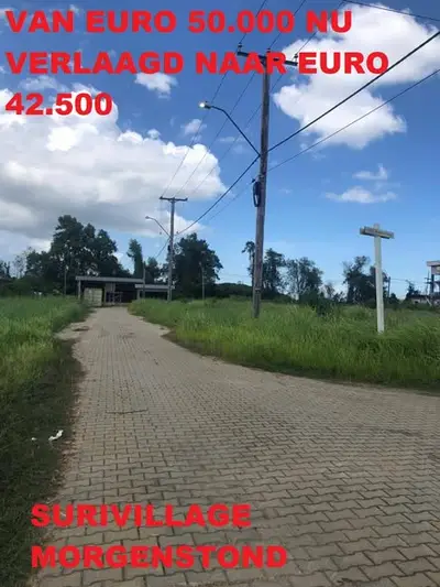 Foto van morgenstond