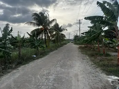 Foto van Antigoneweg