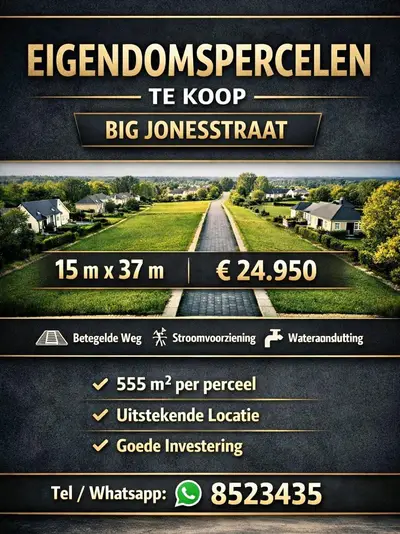 Foto van Big Jonesstraat